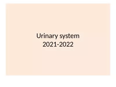 Urinary system 2021-2022