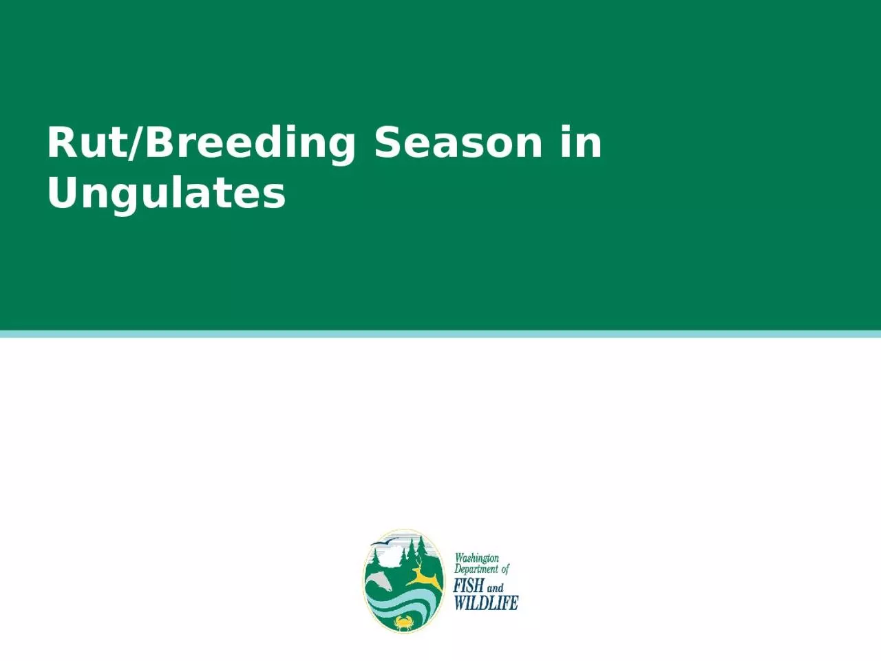 PPT-Rut/Breeding Season in Ungulates