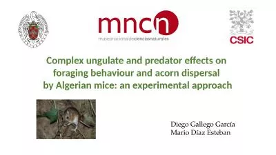 Complex ungulate and predator effects on