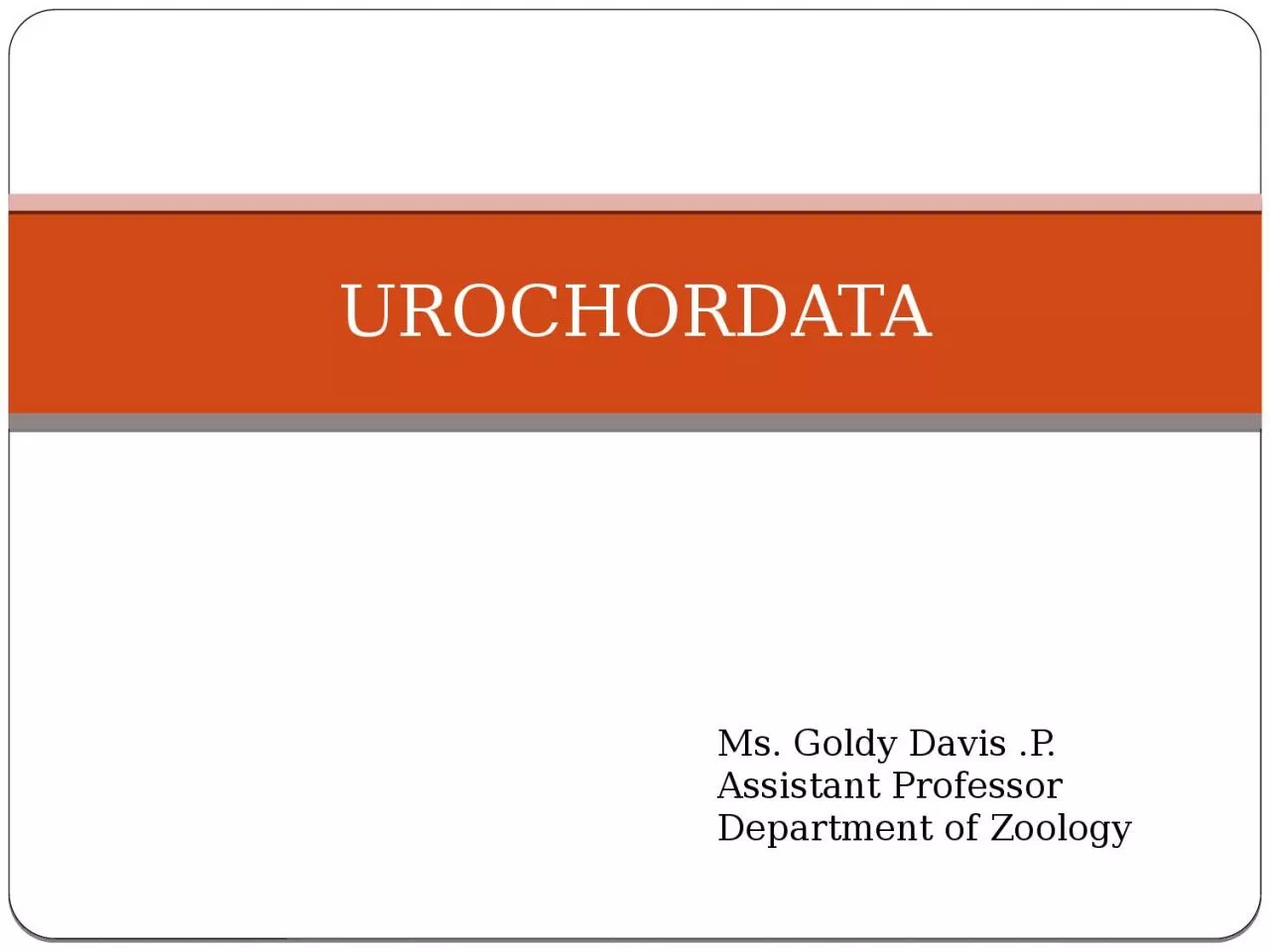 PPT-UROCHORDATA Ms. Goldy Davis .P.