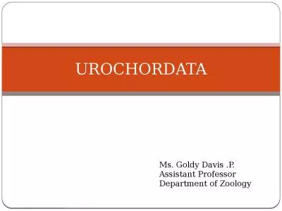 UROCHORDATA Ms.  Goldy  Davis .P.