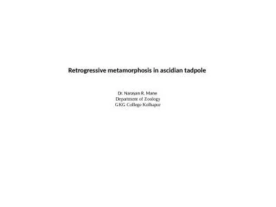 Retrogressive metamorphosis in ascidian tadpole