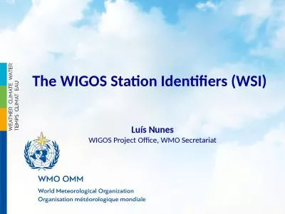 Luís  Nunes WIGOS Project