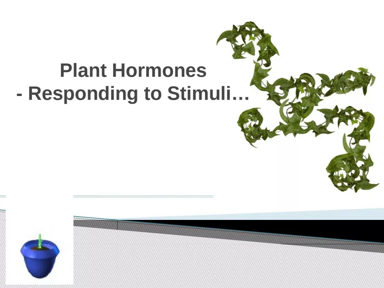 PPT-Plant Hormones - Responding to Stimuli…