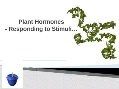 Plant Hormones - Responding to Stimuli…