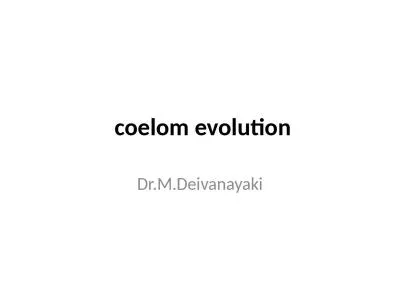   coelom  evolution Dr.M.Deivanayaki