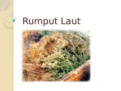 Rumput   Laut Gambar .  Metode