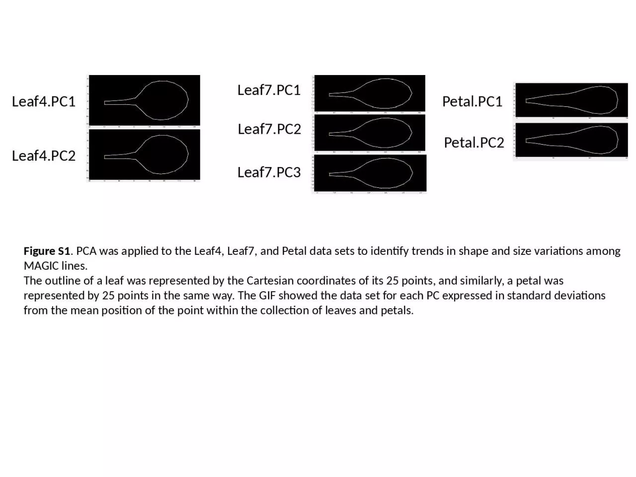 PPT-Leaf4.PC1 Leaf4.PC2 Leaf7.PC3