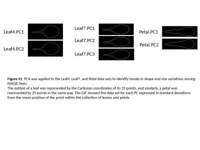 Leaf4.PC1 Leaf4.PC2 Leaf7.PC3