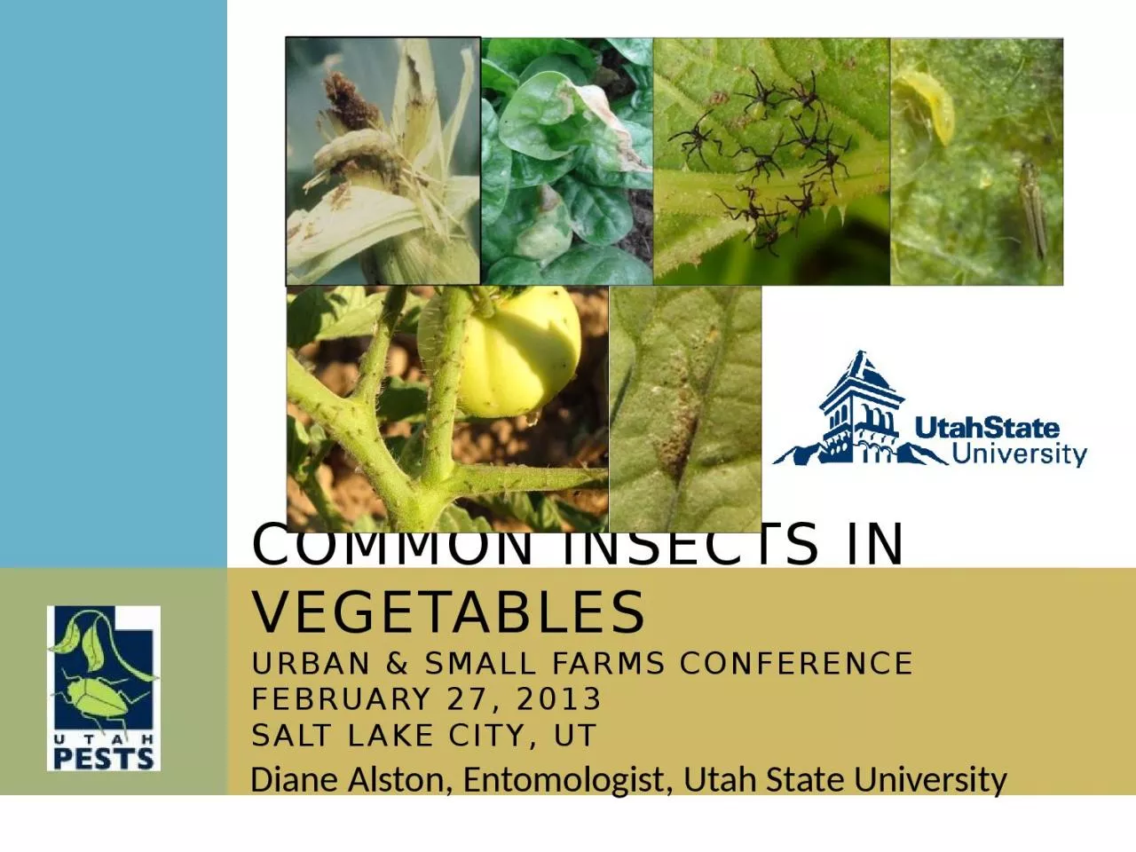 PPT-Diane Alston, Entomologist, Utah State University