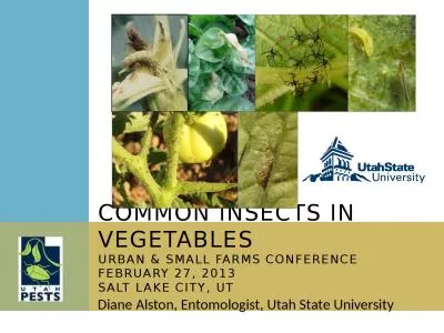 Diane Alston, Entomologist, Utah State University