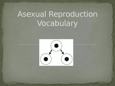 Asexual Reproduction Vocabulary