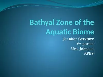 Bathyal  Zone of the Aquatic Biome