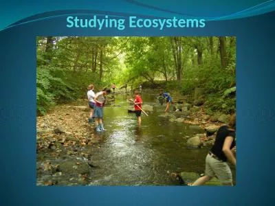 Studying Ecosystems Starter –