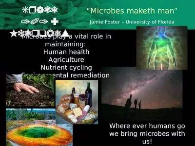 Microbes play a vital role in maintaining:
