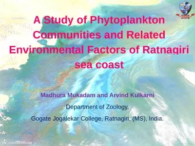 A Study of Phytoplankton Communities and Related Environmental Factors