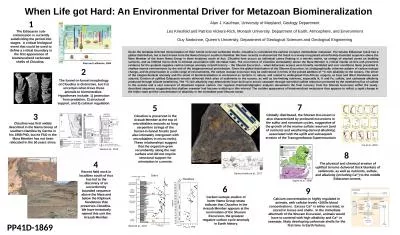 When Life got Hard: An Environmental Driver for Metazoan Biomineralization