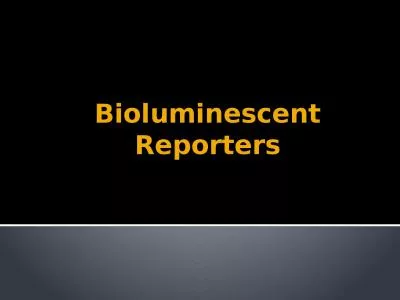 Bioluminescent Reporters