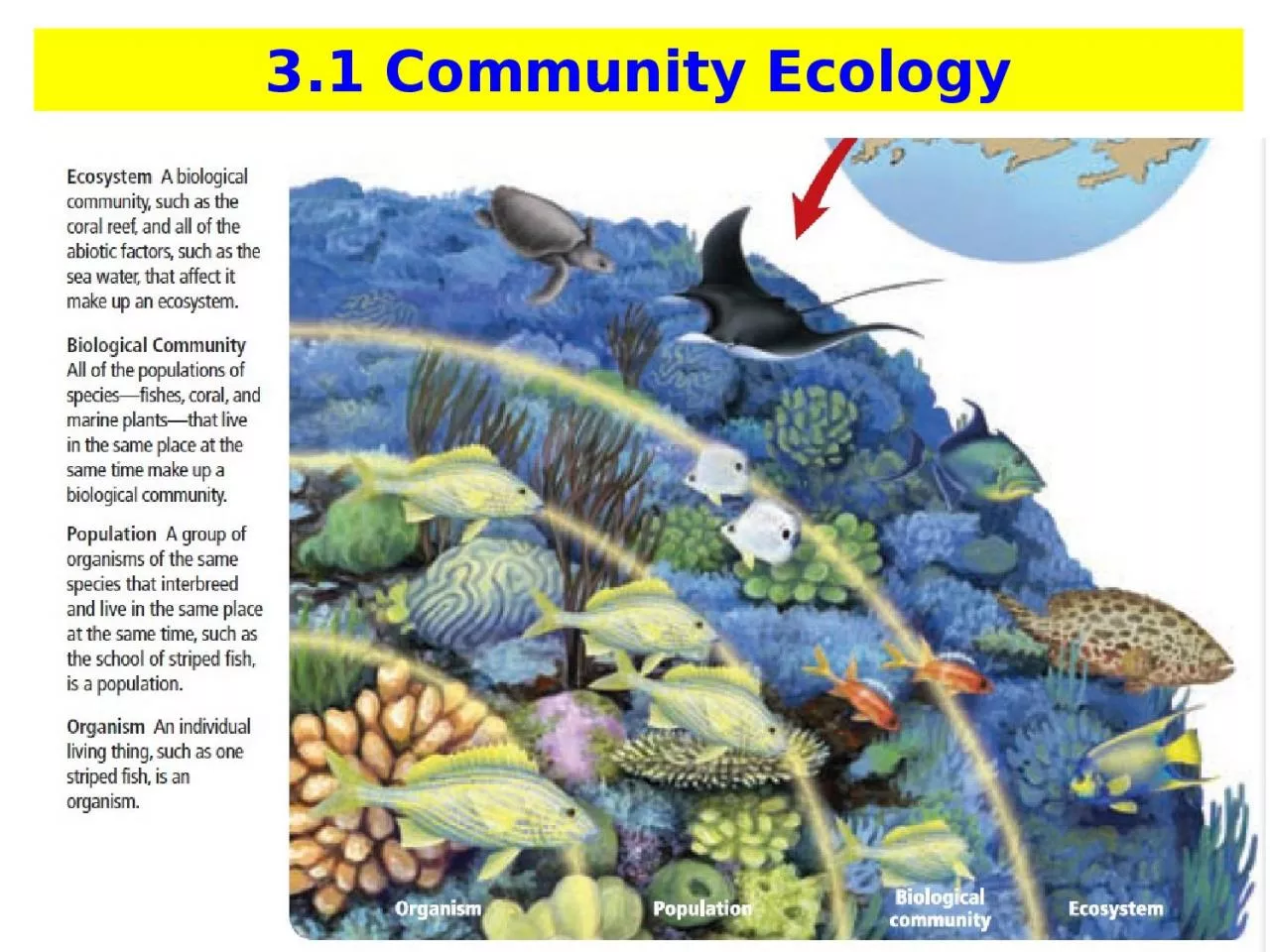 PPT-3.1 Community Ecology Vocabulary List