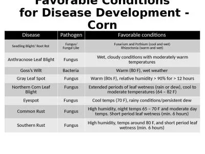 Favorable Conditions  for Disease Development - Corn