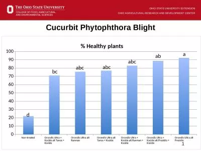 Cucurbit Phytophthora Blight