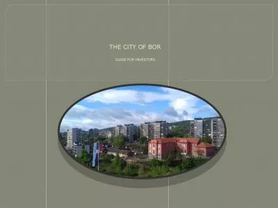 THE CITY OF BOR GUIDE FOR INVESTORS