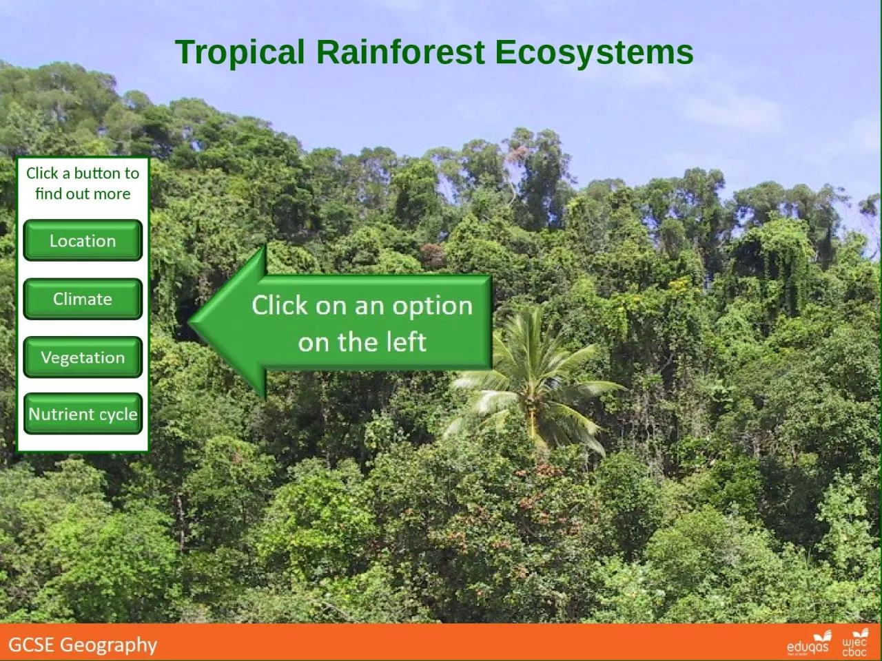 PPT-Tropical Rainforest Ecosystems