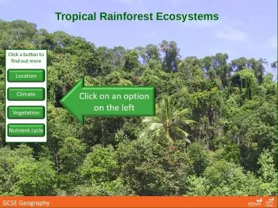 Tropical Rainforest Ecosystems