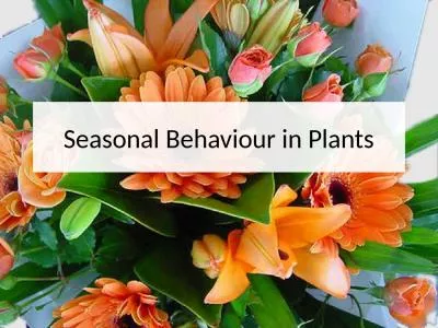 Seasonal Behaviour in  Plants