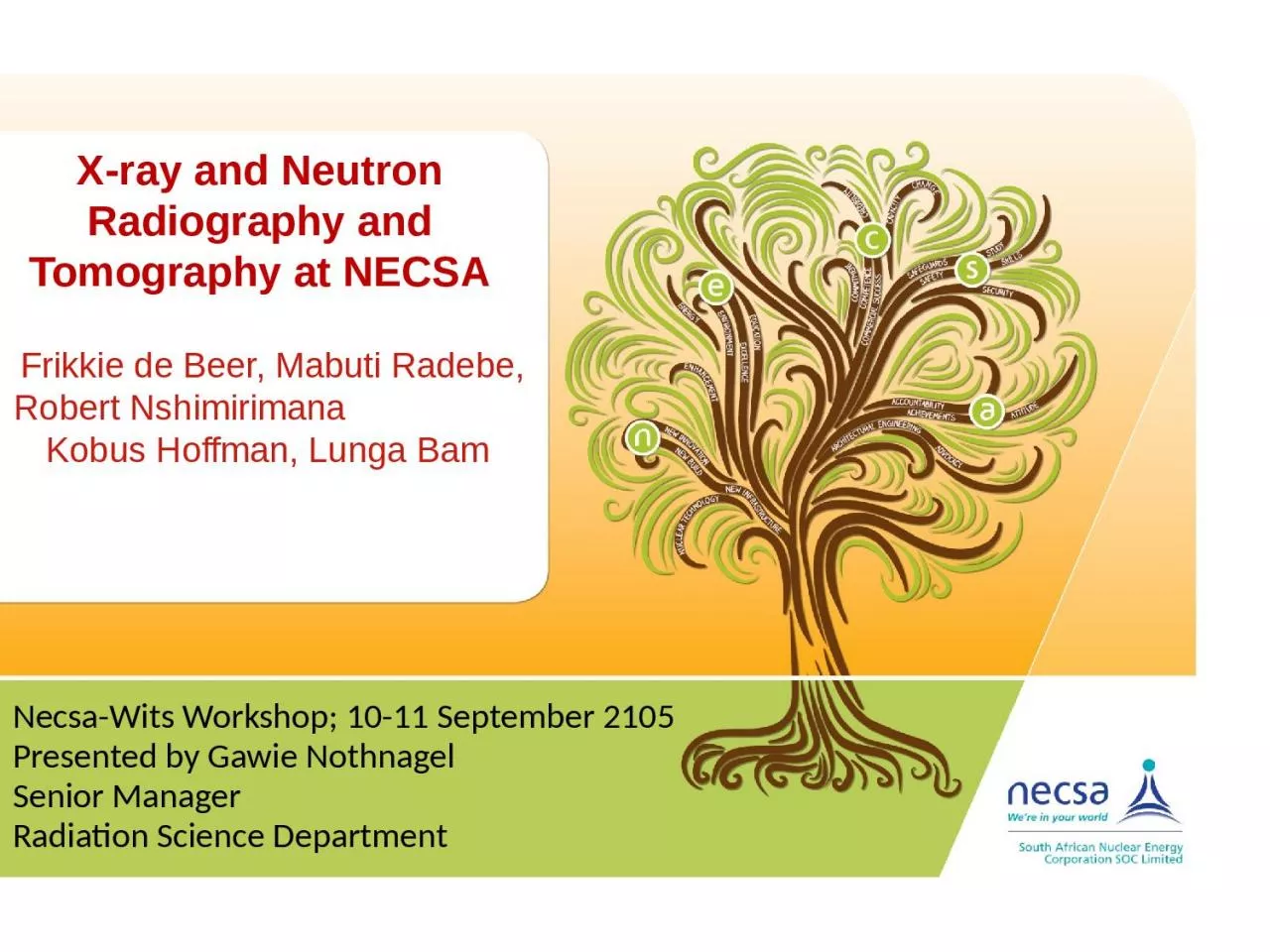 PPT-X-ray and Neutron R adiography