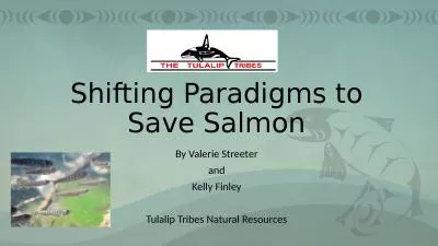 Shifting Paradigms to Save Salmon