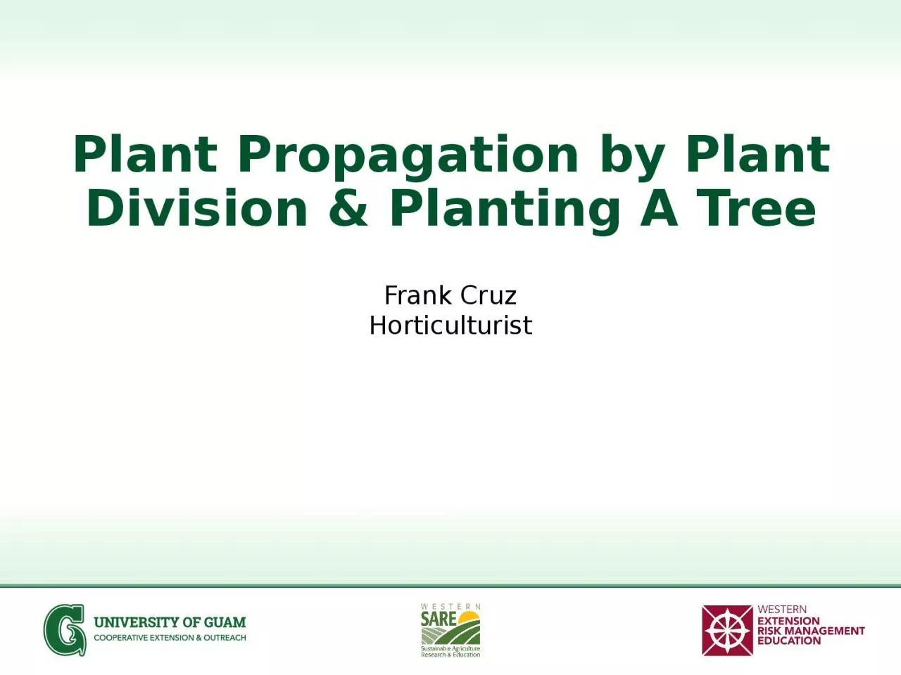 PPT-Plant Propagation by Plant Division & Planting A Tree