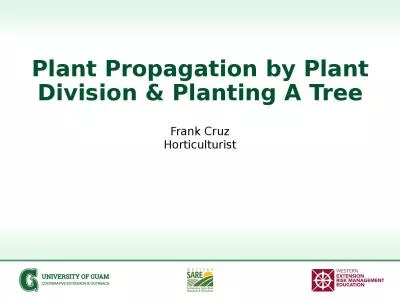 Plant  Propagation by  Plant Division & Planting A Tree