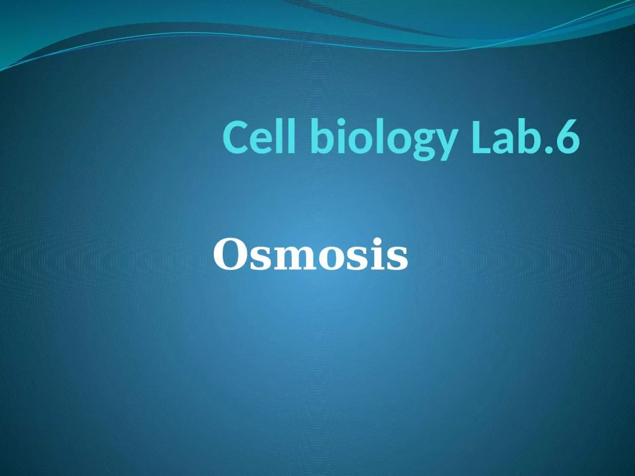 Cell biology Lab.6 Osmosis