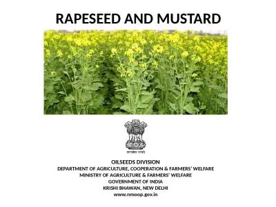 RAPESEED AND MUSTARD