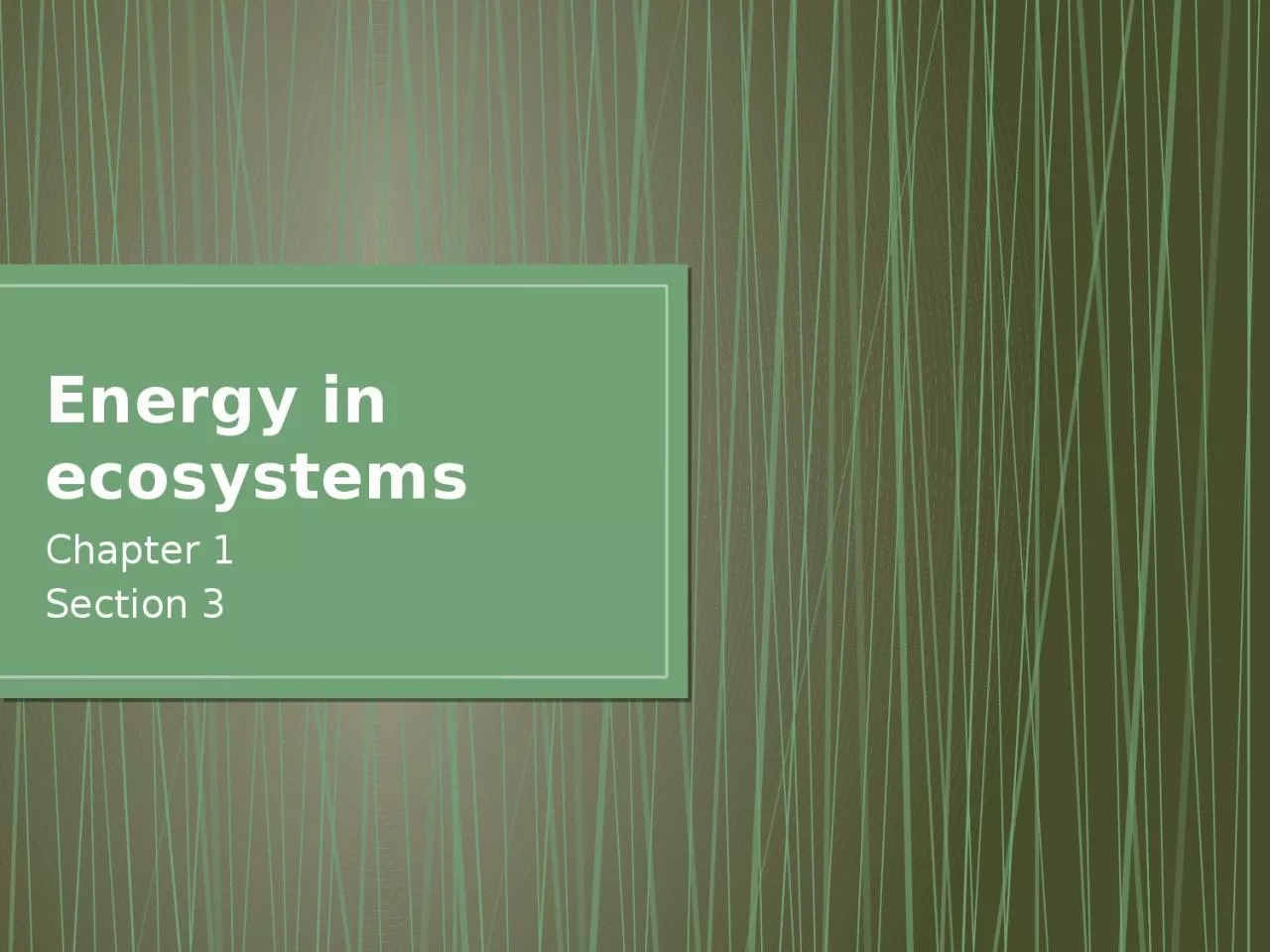 PPT-Energy in ecosystems Chapter 1