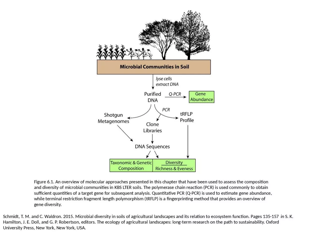 PPT-Figure 6.1. An overview of molecular approaches presented in this chapter that have been