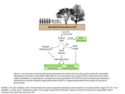 Figure 6.1. An overview of molecular approaches presented in this chapter that have been used to as