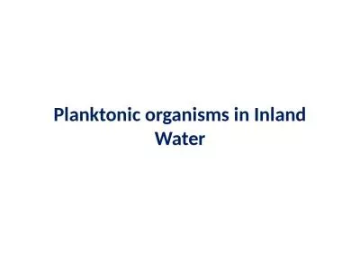 Planktonic  organisms in Inland Water