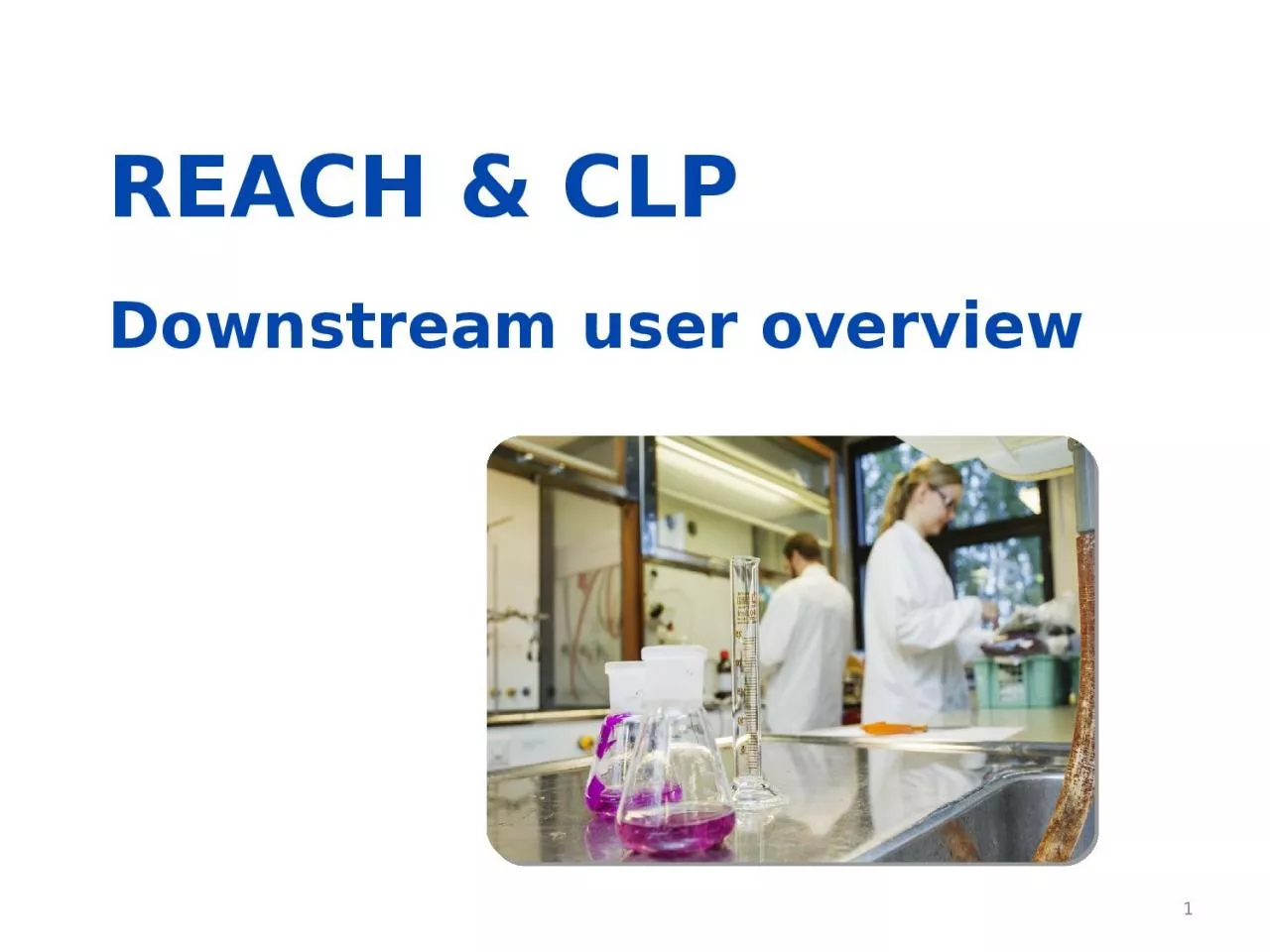 PPT-REACH & CLP Downstream user overview