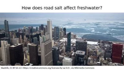 How does road salt affect freshwater?