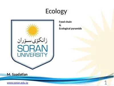 Ecology  M.  Saadatian Food chain
