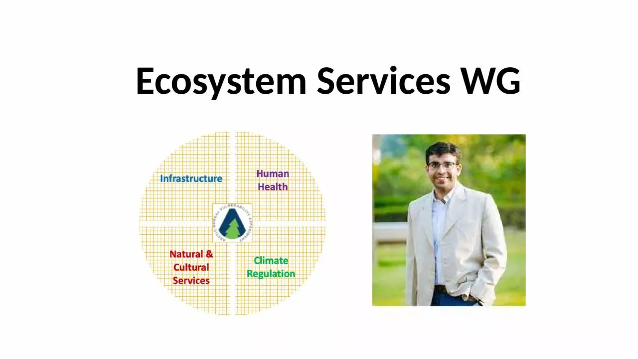 Ecosystem Services WG In the room…