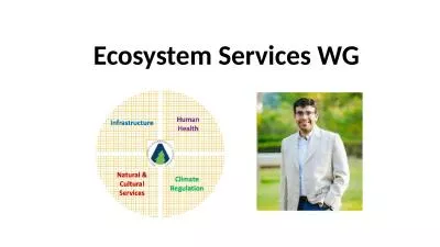 Ecosystem Services WG In the room…