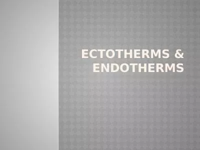 Ectotherms  &  Endotherms