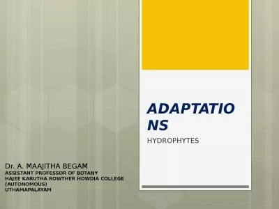ADAPTATIONS HYDROPHYTES Dr. A. MAAJITHA BEGAM