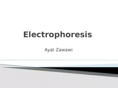 Electrophoresis  Ayat   Zawawi