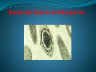 Bacterial  Spores ( endospore