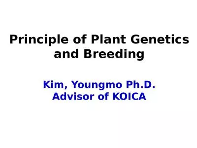 Kim,  Youngmo  Ph.D. Advisor of KOICA