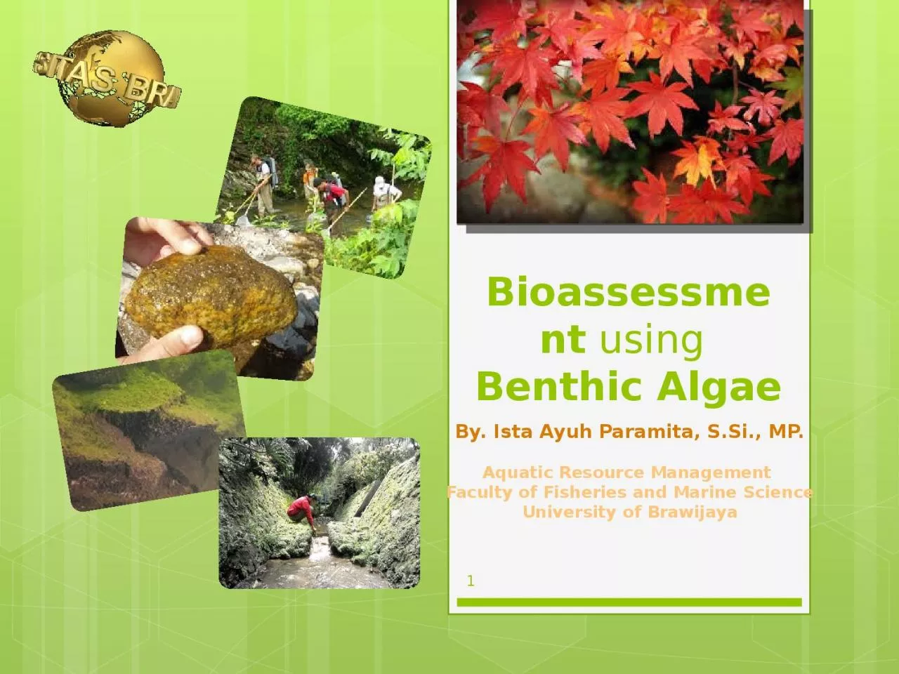 PPT-Bioassessment using Benthic Algae